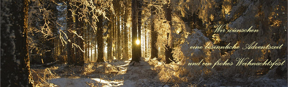 Winterwald